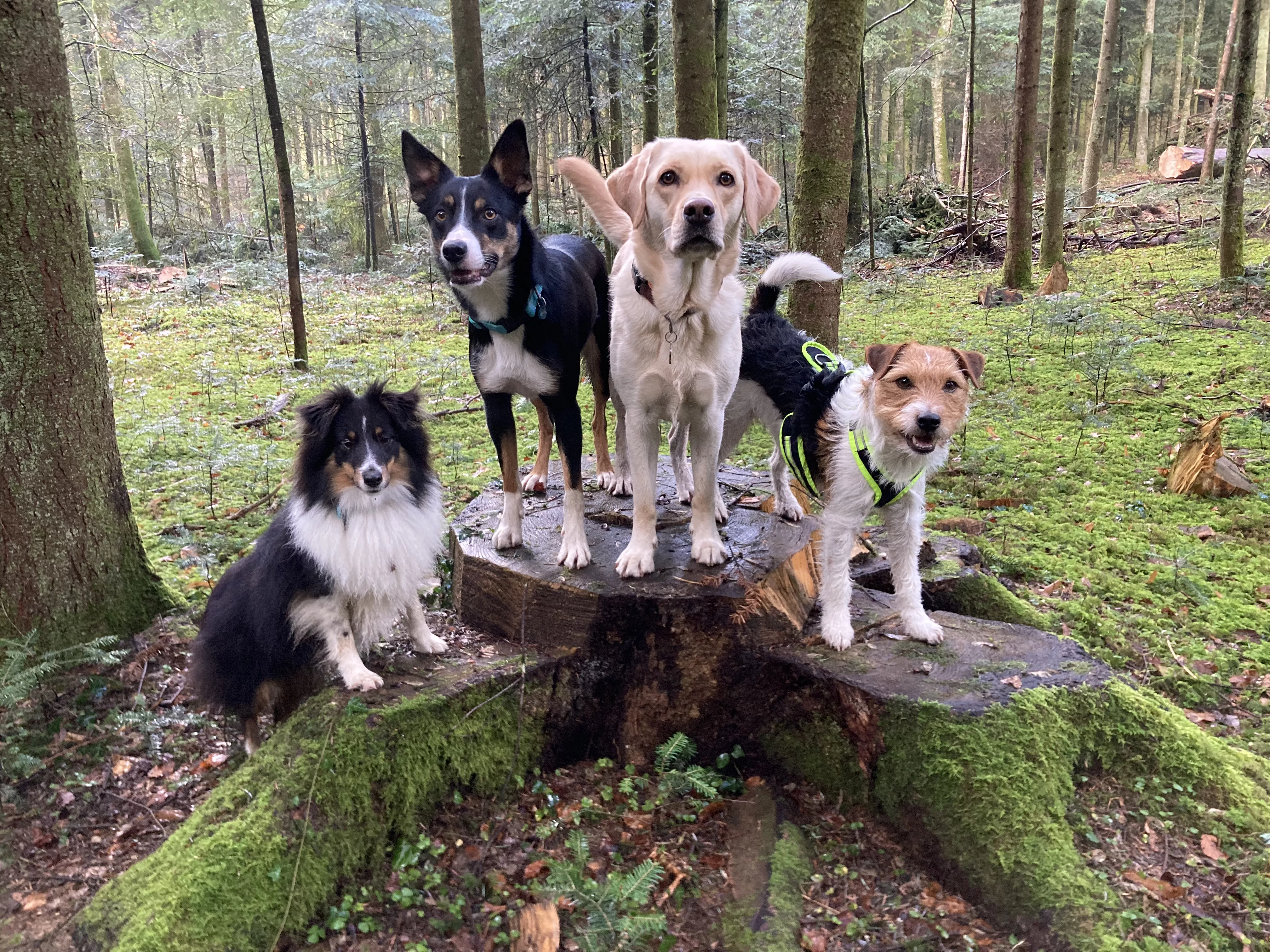 Die ersten beiden Teams